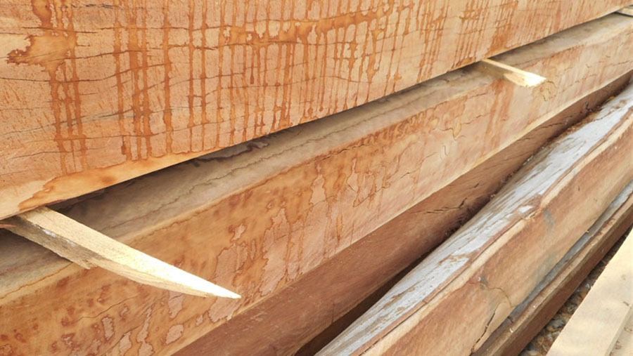 tropical-timber-framing-lumber-hardwood-cabinets-7-preview.jpg