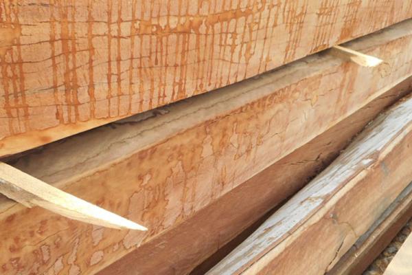 tropical-timber-framing-lumber-hardwood-cabinets-7-preview.jpg